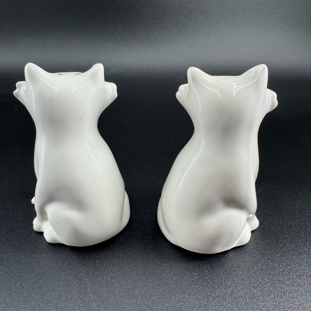 ๐ SOLD OUT ๐ White Fox Salt & Pepper Shakers by ๐๐๐ง๐๐จ๐๐ค๐ก๐ 2014 - Set of 2 - Picture 3 of 8